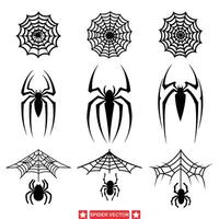 Venomous s Striking Spider Graphics for Edgy Designs vector