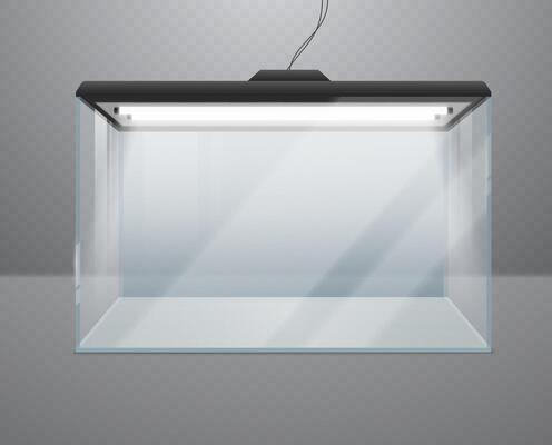 Transparent realistic glass cube or aquarium with lighting.