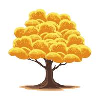 Beautiful autumn tree with a yellow crown of leaves. Blooming tree in autumn. illustration vector