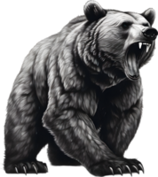 Close-up drawing of a ferocious bear. Ai Generate png