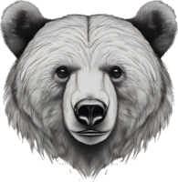 Close-up drawing of a ferocious bear. Ai Generate png