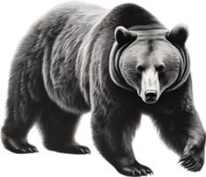 Close-up drawing of a ferocious bear. Ai Generate png