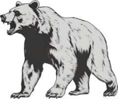 Close-up drawing of a ferocious bear. Ai Generate png