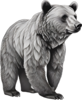 Close-up drawing of a ferocious bear. Ai Generate png