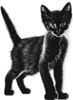 Close-up painting of a cute kitten. Ai Generate png