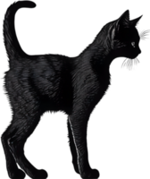 fechar-se pintura do uma fofa gatinho. ai gerar png