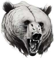 Close-up drawing of a ferocious bear. Ai Generate png