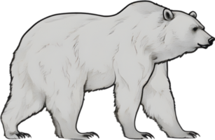 Close-up drawing of a ferocious bear. Ai Generate png