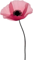 Close-up painting of poppy flowers. Ai Generate png