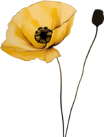 Close-up painting of poppy flowers. Ai Generate png