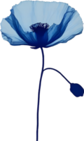 Close-up painting of poppy flowers. Ai Generate png