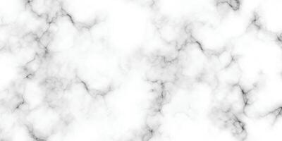 mármol granito blanco panorama antecedentes. resumen ligero elegante negro hacer piso, cerámico textura Roca losa. mármol textura antecedentes con alto resolución. vector