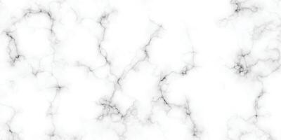 Background with crack. Marble texture background. Abstract white marble background. vector