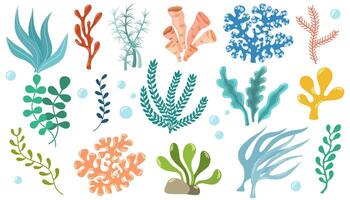 coral colocar. Oceano plantas, submarino flora, algas marinas. acuático planta, algas, tropical fondo del mar elementos conjunto vector