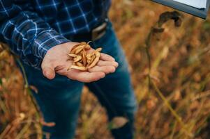 agrónomo sostiene tableta toque almohadilla computadora en el soja campo y examinando cultivos antes de cosecha. agronegocios concepto. agrícola ingeniero en pie en un soja campo con un tableta. foto