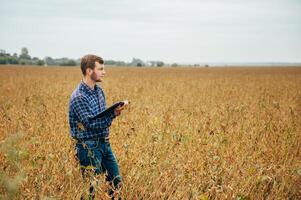 Agronomist holds tablet touch pad computer in the soy field and examining crops before harvesting. Agribusiness concept. agricultural engineer standing in a soy field with a tablet. photo