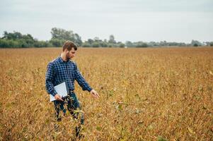 Agronomist holds tablet touch pad computer in the soy field and examining crops before harvesting. Agribusiness concept. agricultural engineer standing in a soy field with a tablet. photo