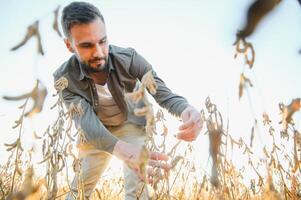 Farmer standing in soybean field at sunset. photo