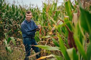 Agronomist holds tablet touch pad computer in the corn field and examining crops before harvesting. Agribusiness concept. agricultural engineer standing in a corn field with a tablet. photo