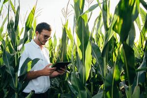 Agronomist holds tablet touch pad computer in the corn field and examining crops before harvesting. Agribusiness concept. agricultural engineer standing in a corn field with a tablet in summer. photo