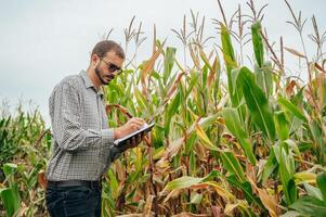 agrónomo sostiene tableta toque almohadilla computadora en el maíz campo y examinando cultivos antes de cosecha. agronegocios concepto. agrícola ingeniero en pie en un maíz campo con un tableta. foto