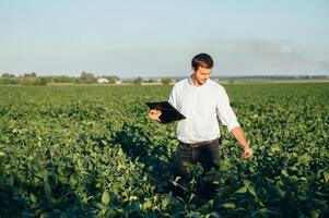 Agronomist holds tablet touch pad computer in the soy field and examining crops before harvesting. Agribusiness concept. agricultural engineer standing in a soy field with a tablet in summer. photo