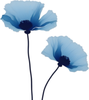 Close-up painting of poppy flowers. Ai Generate png