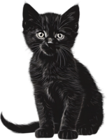 Close-up painting of a cute kitten. Ai Generate png