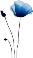 Close-up painting of poppy flowers. Ai Generate png