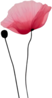 Close-up painting of poppy flowers. Ai Generate png