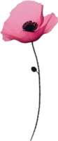 detailopname schilderij van papaver bloemen. ai genereren png