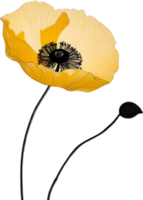 Close-up painting of poppy flowers. Ai Generate png