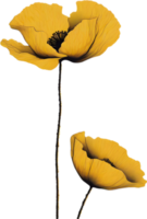 Close-up painting of poppy flowers. Ai Generate png