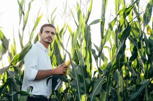 Agronomist holds tablet touch pad computer in the corn field and examining crops before harvesting. Agribusiness concept. agricultural engineer standing in a corn field with a tablet in summer. photo