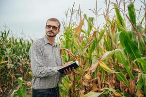 agrónomo sostiene tableta toque almohadilla computadora en el maíz campo y examinando cultivos antes de cosecha. agronegocios concepto. agrícola ingeniero en pie en un maíz campo con un tableta. foto