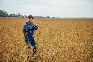 Agronomist holds tablet touch pad computer in the soy field and examining crops before harvesting. Agribusiness concept. agricultural engineer standing in a soy field with a tablet. photo