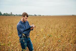 Agronomist holds tablet touch pad computer in the soy field and examining crops before harvesting. Agribusiness concept. agricultural engineer standing in a soy field with a tablet. photo