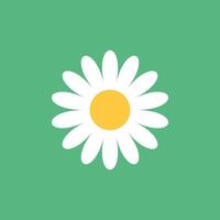 Daisy chamomile icon in flat style. Flower illustration on isolated background. Floral sign business concept. vector