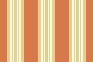 Textile vertical of pattern texture background with a fabric seamless lines stripe. vector