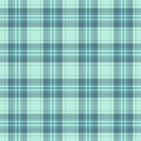 Ethnic tartan seamless texture, rich background plaid check. Fancy textile fabric pattern in pastel and cyan colors. vector