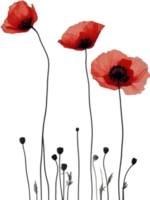 Close-up painting of poppy flowers. Ai Generate png