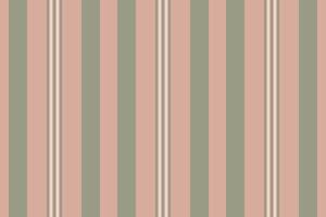 texture lines of background stripe vertical with a textile seamless pattern fabric. vector