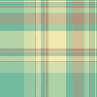 Seamless texture plaid of pattern tartan background with a textile fabric check. vector