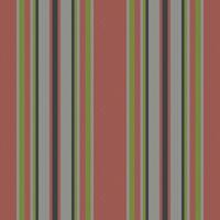 Vertical lines stripe pattern. stripes background fabric texture. Geometric striped line seamless abstract design. vector