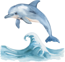 mignonne dauphin sauter vague aquarelle png