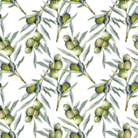 sömlös vattenfärg oliver mönster med oliv grenar. oliver bakgrund för tapeter, vykort, hälsning kort, bröllop inbjuder, textil, evenemang. blommig vattenfärg png