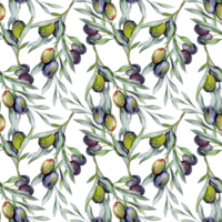 Seamless watercolor olives pattern with olive branches. Olives background for wallpapers, postcards, greeting cards, wedding invites, textile, events. Floral Watercolor png