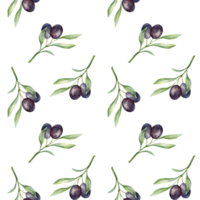 sin costura acuarela aceitunas modelo con aceituna sucursales. aceitunas antecedentes para fondos de pantalla, postales, saludo tarjetas, Boda invita, textil, eventos. floral acuarela png