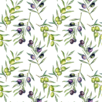 Seamless watercolor olives pattern with olive branches. Olives background for wallpapers, postcards, greeting cards, wedding invites, textile, events. Floral Watercolor png