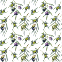 Seamless watercolor olives pattern with olive branches. Olives background for wallpapers, postcards, greeting cards, wedding invites, textile, events. Floral Watercolor png